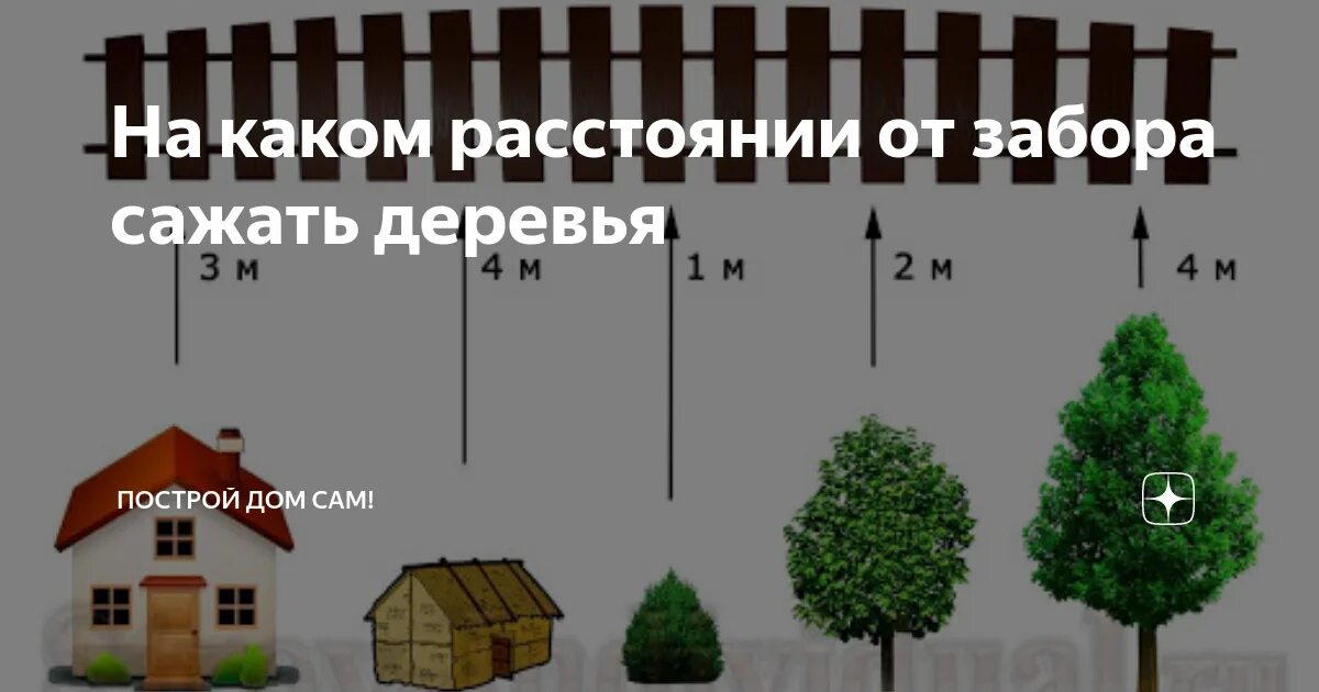 На каком расстоянии можно садить. Нормы посадки деревьев и кустарников на участке. Посадка от забора соседей. Посадка деревьев на участке нормы. Кусты деревья от забора соседа.