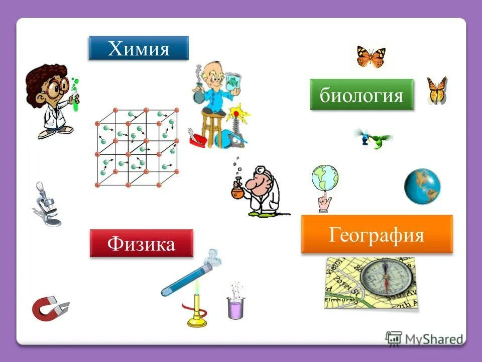 Физика химия биология география. Математика физика химия биология. Неделя химии биологии и физики. Химия физика Информатика математика.