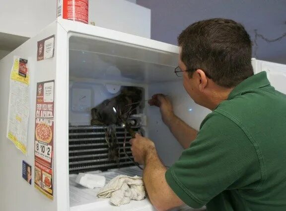 Мастер холодильников. Мастер по ремонту холодильников. Мастер чинит холодильник. Частный мастер по ремонту холодильников.