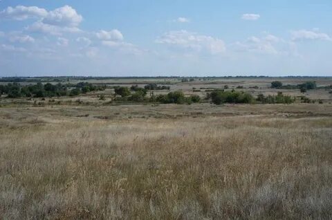 Краснополье воронежская область