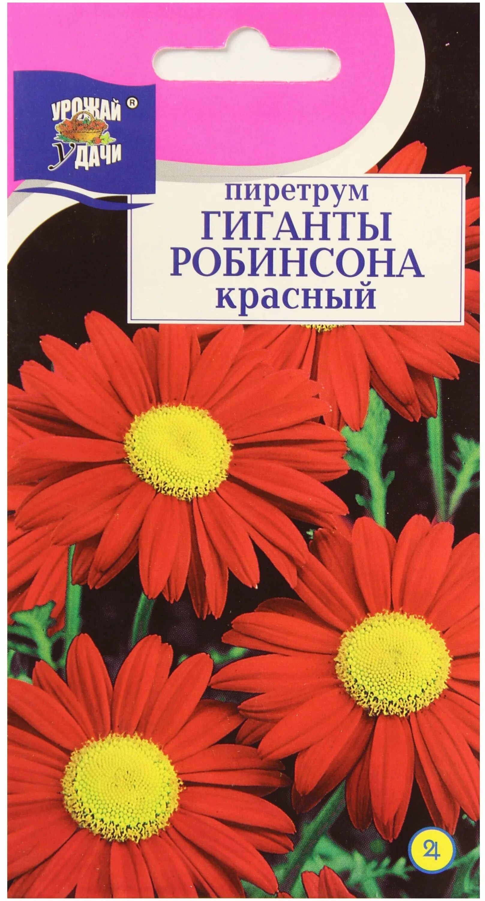 пиретрум гиганты робинсона. пиретрум робинсон 0,2 г. цветок пиретрум красный гиганты робинсона. семена ромашки пиретрум. гиганты робинсона.