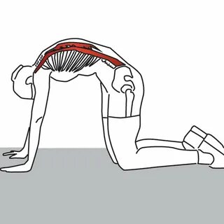 Position yourself