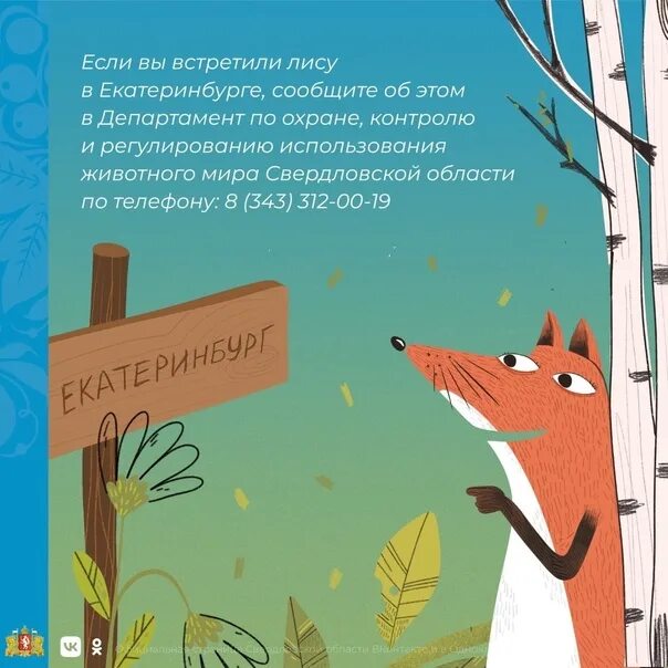 Лисье время. Срока и лисица. животные пальчиками показать лиса. поисковая лиса. лиса и время.