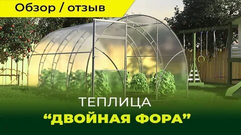 Двойная воля