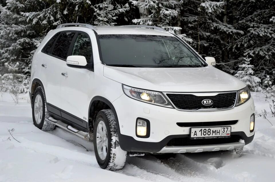 Киа Соренто белая. Машина Киа Соренто белая. Kia Sorento White 2023. Киа Соренто 2014 белая. Куплю киа соренто омск