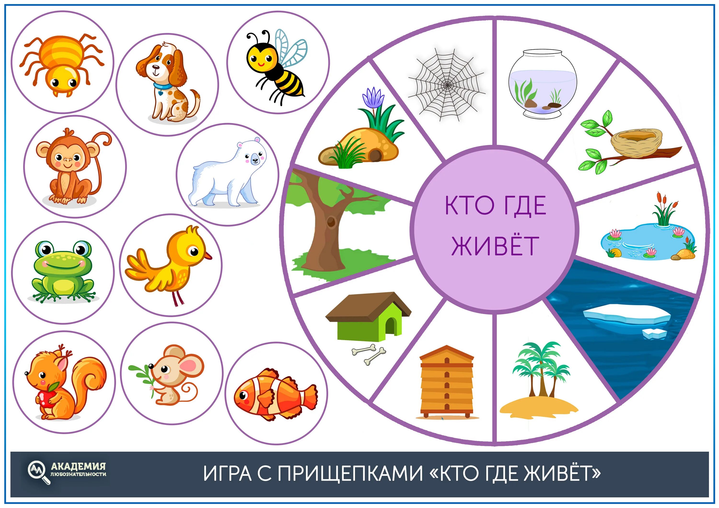 Где живут ру. Игра с прищепками кто где живет. Кто где живет. Игра кто где живет для дошкольников. Игры с прищепками для детей.