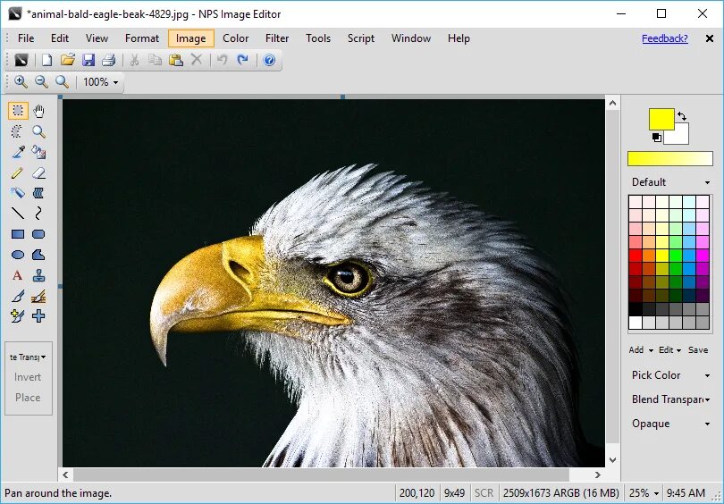 H editor