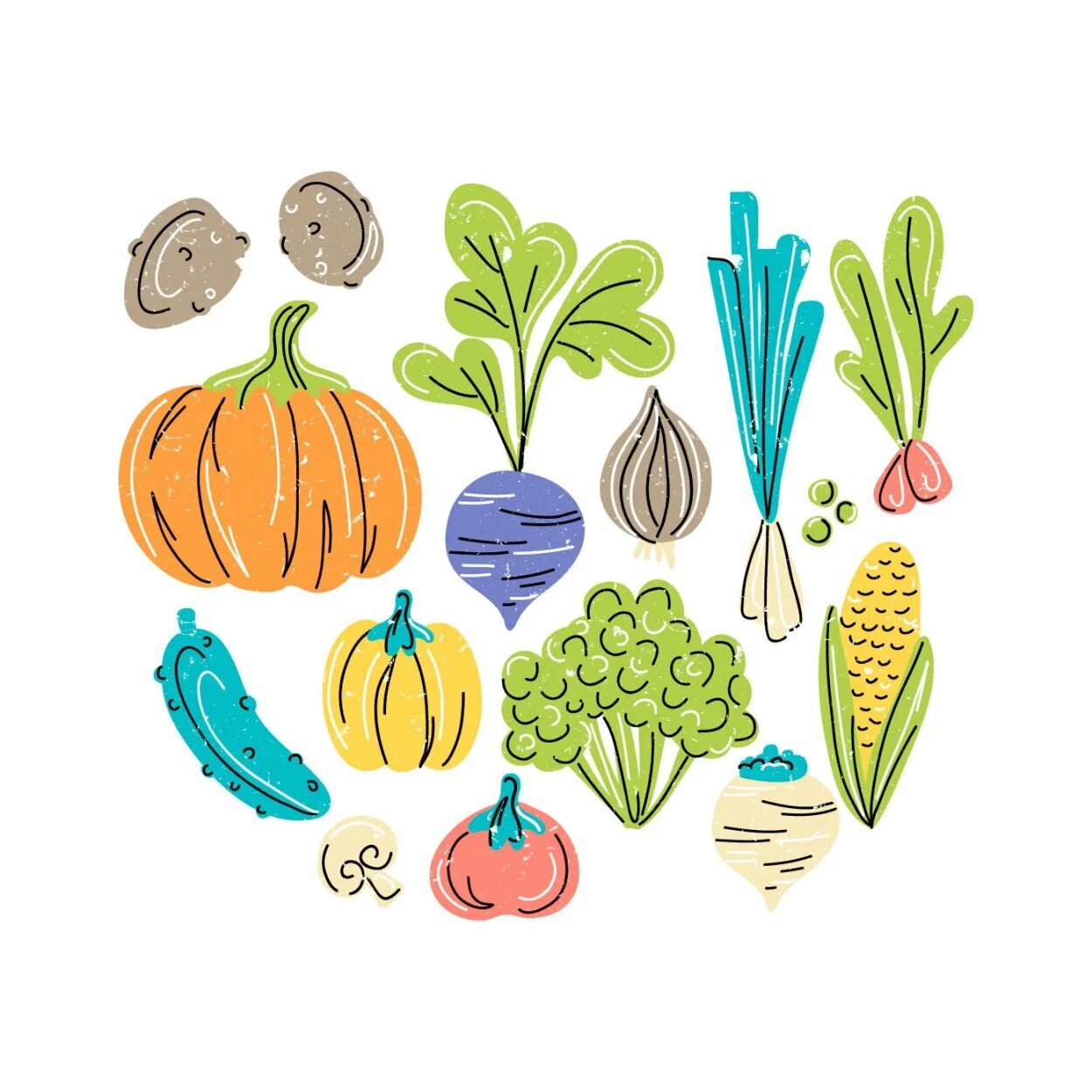 Векторные овощи. Овощи вектор. Овощи Векторная Графика. Стилизация еды.