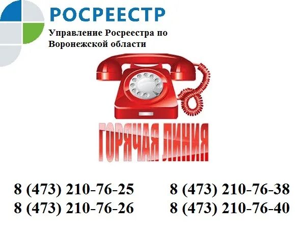 Телефон горячей линии московская обл. Позвоните по номеру телефона. Телефон горячей линии московская обл. Телефон горячей линии московская обл. Горячие линии по коронавирусу.