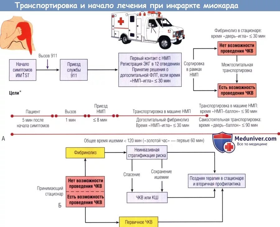 Алгоритм действия инфаркта миокарда. Алгоритм действий при инфаркте миокарда. алгоритм оказания неотложной помощи при остром инфаркте миокарда. алгоритм при инфаркте миокарда для скорой помощи. алгоритм лечения инфаркта миокарда по стадиям.