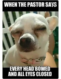 Every head