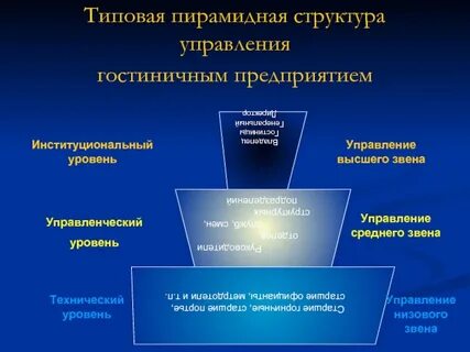 Звено менеджмента