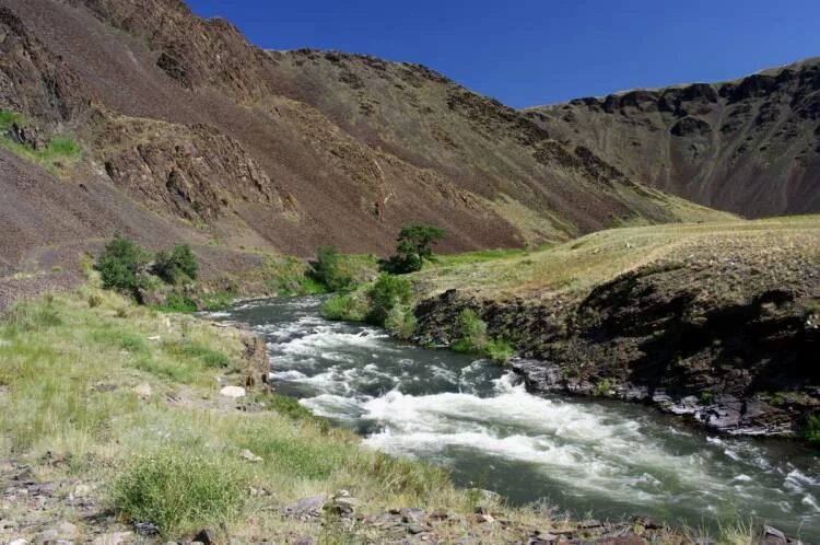 ущелье тургень. водопад текели бурхан булак. ағып жатыр булак жагасында. водопад бурхан-булак. ағып жатыр булак жагасында.