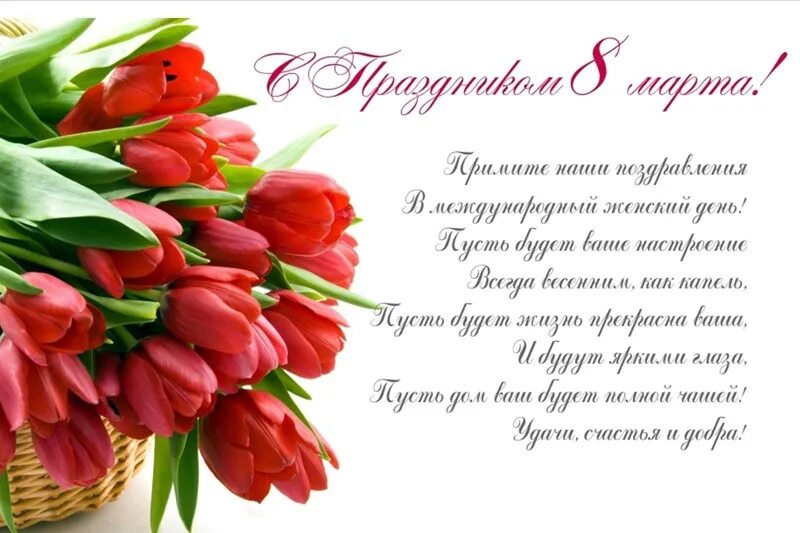 С международным женским днем в прозе коллегам. С международным женским днем в прозе коллегам. Букет тюльпанов. С международным женским днем в прозе коллегам. Поздравление с международным женским днем.