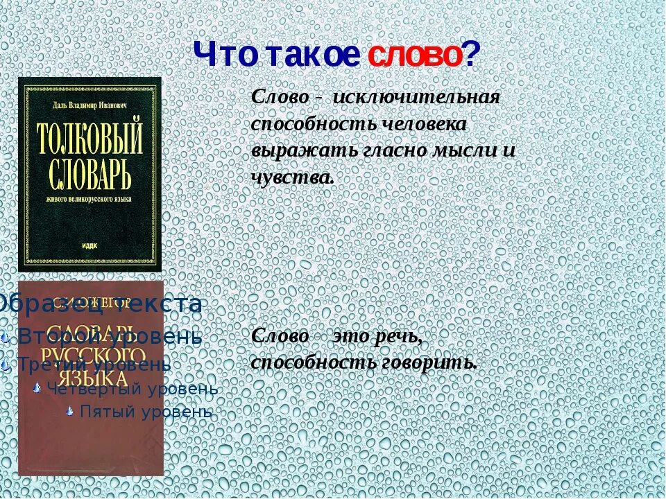 Бывало есть такое слово. Слово. СЧЛ. Слсл. Совол.