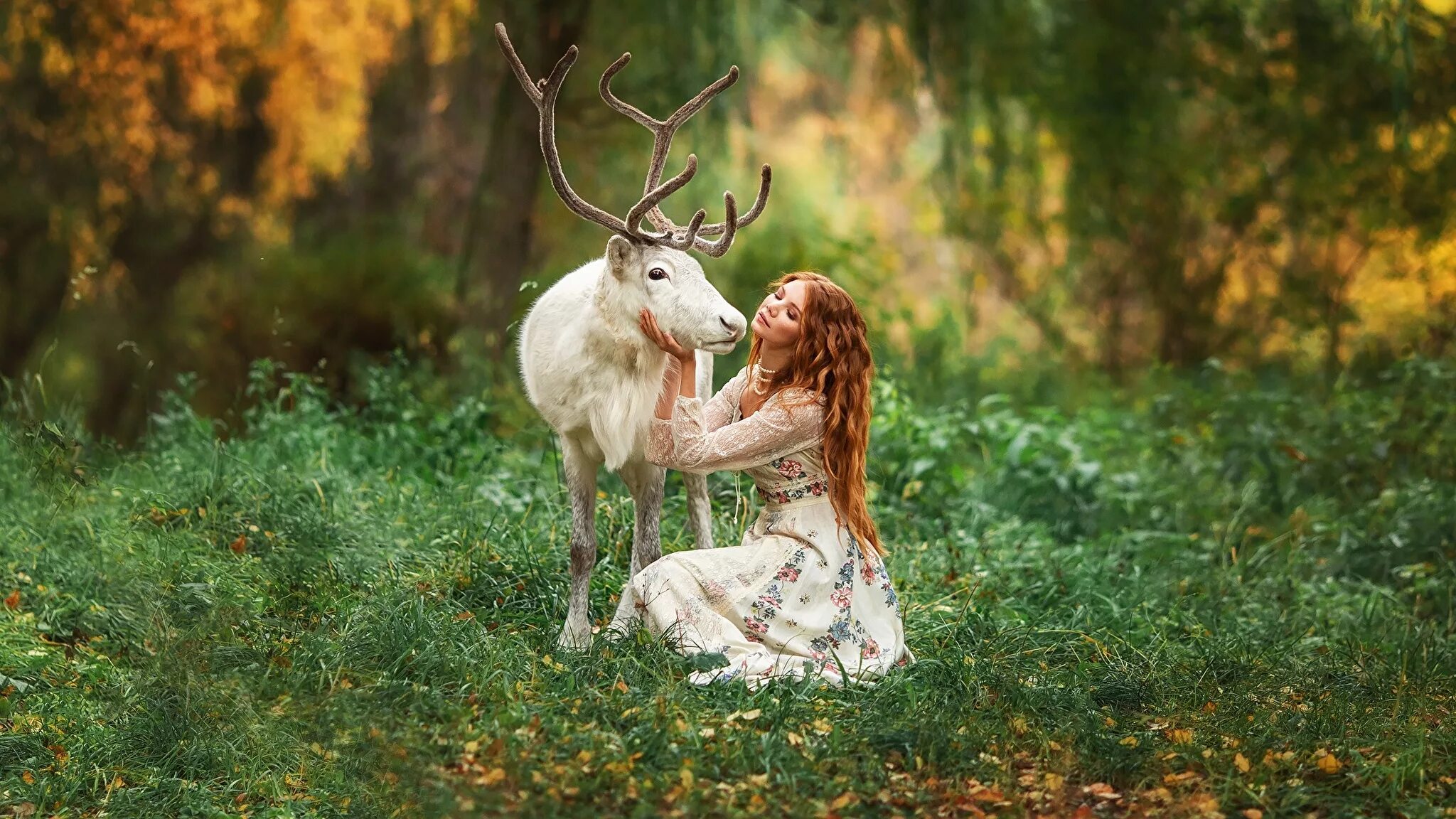 Фотопроект с северными оленями. Обнимает оленя. Девочка с олененком. Фотосессия с оленем. Олень в лесу.