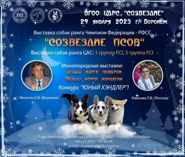 Выставка собак январь