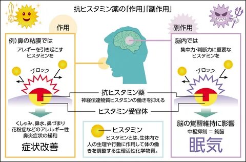 花 粉 症 薬 眠 く な ら な い 処 方 薬 - ど の 薬 が ベ ス ト.ア レ ル ギ-性 鼻 炎(花... 