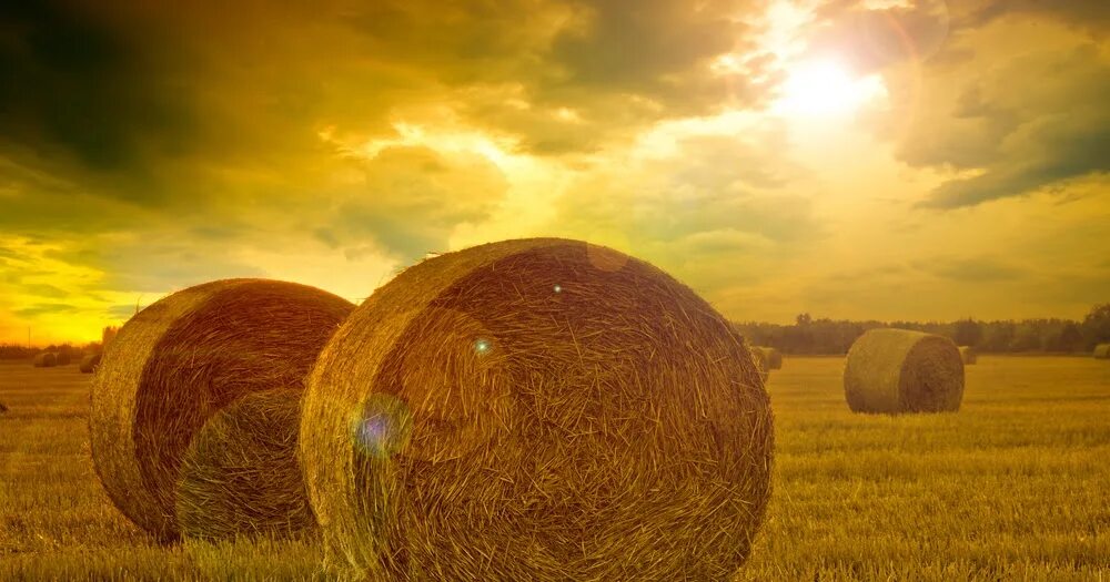 Sun while. Make hay while the sun shines. make hay while the sun shines русский эквивалент. коси сено пока солнце светит. поле с тюками закат.