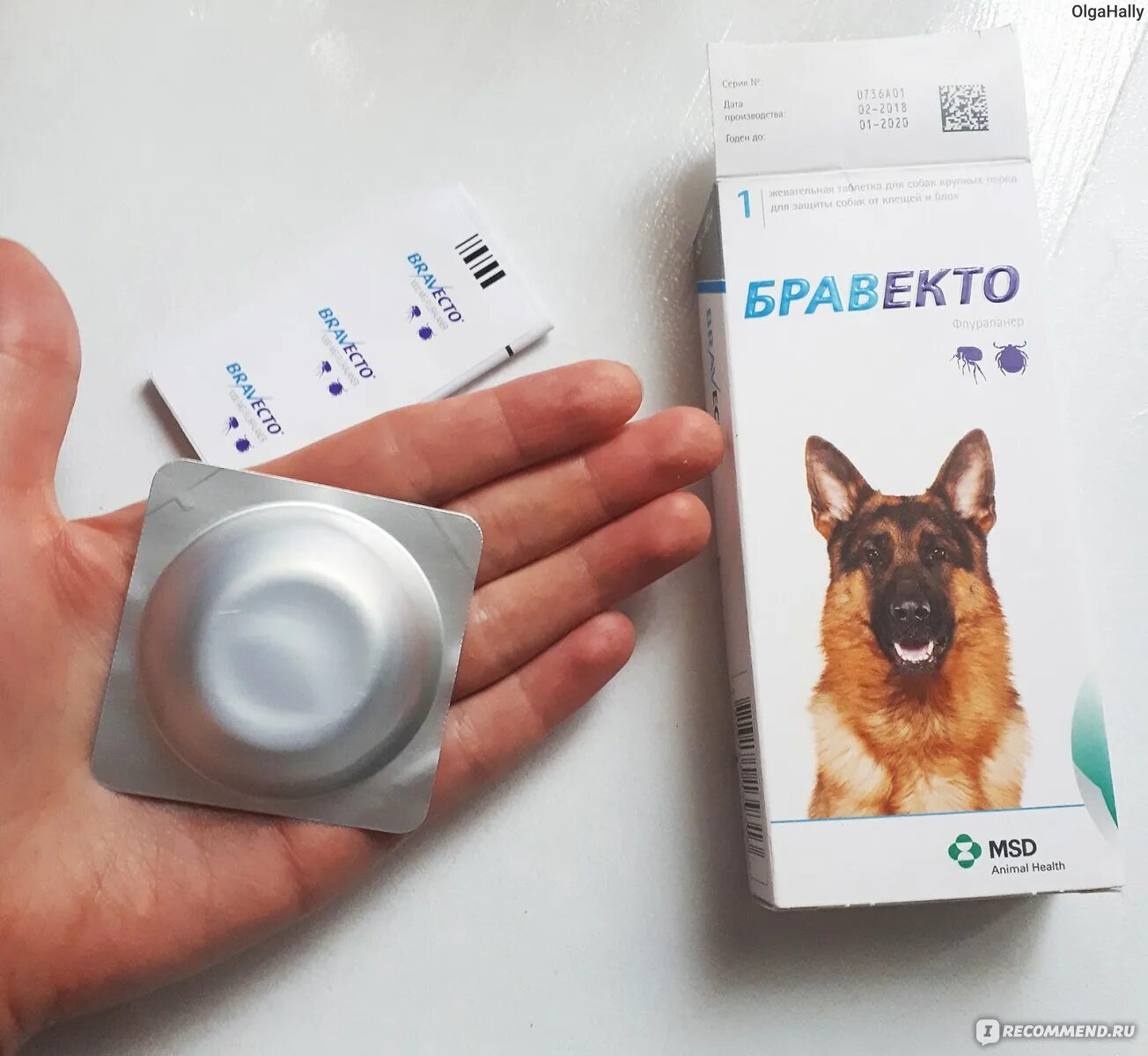 Как правильно давать бравекто собакам. Бравекто 10-20. жевательная таблетка от глистов и клещей для собак бравекто. бравекто старая упаковка.