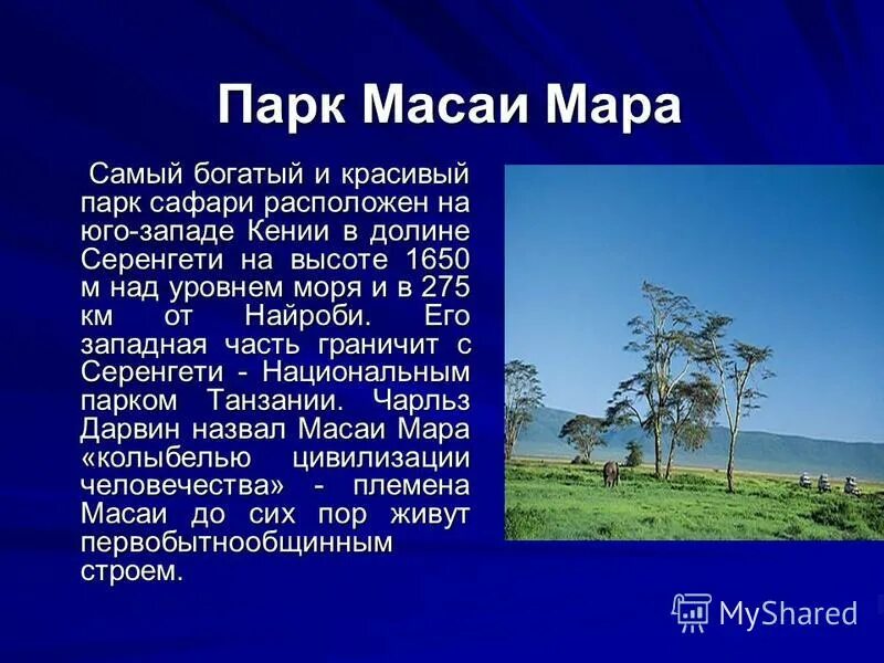 тропический пояс. тропический пояс характеристика. субэкваториальный пояс африки характеристика. субэкваториальный пояс африки характеристика.