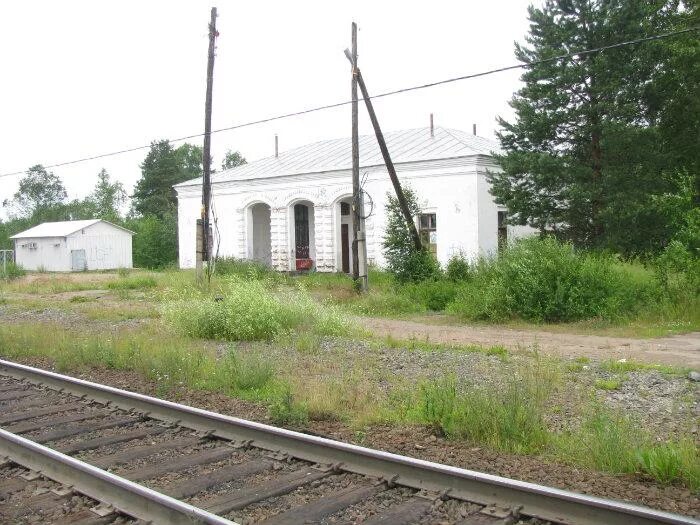 Карелия поселок Пай. Поселок Пай Прионежского района. Посёлок Пай посёлок Пай. Посёлок хвойный Ленинградской области.