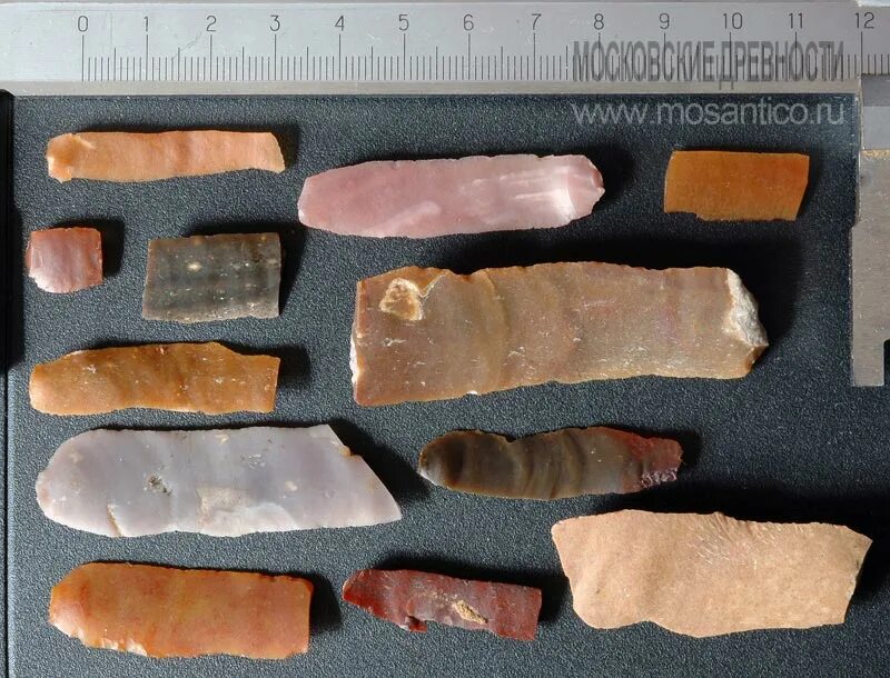 Резец из каменного века. Неолит москва. Неолит москва. Кремень неолит. Археологические находки керамики эпохи неолита.