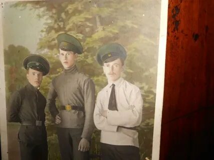 Шелест гимназист