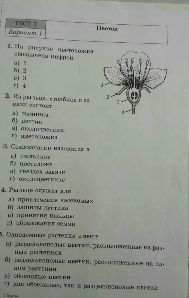 Биология 20 5 класс тест. Тест по биологии. биология 9 класс тесты. тесты по биологии 9 класс. проверочные работы по биологии 9 класс.
