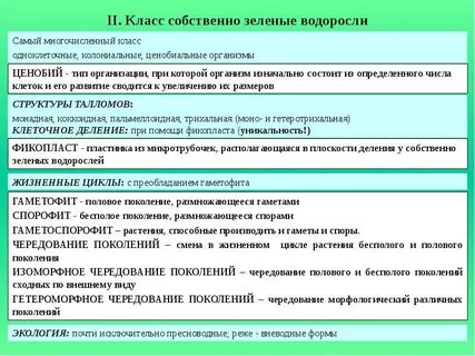 Дайте характеристику зеленым водорослям