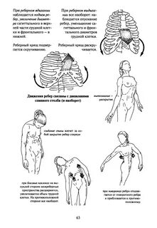 В твоем распоряжении есть только тела изображенные на рисунке 1 после определенн