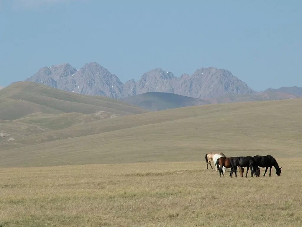 автодорога чита удокан. ак-шыйрак. посёлок ак-шыйрак. ак шыйрак кыргызстан. хребет ак-шийрак.