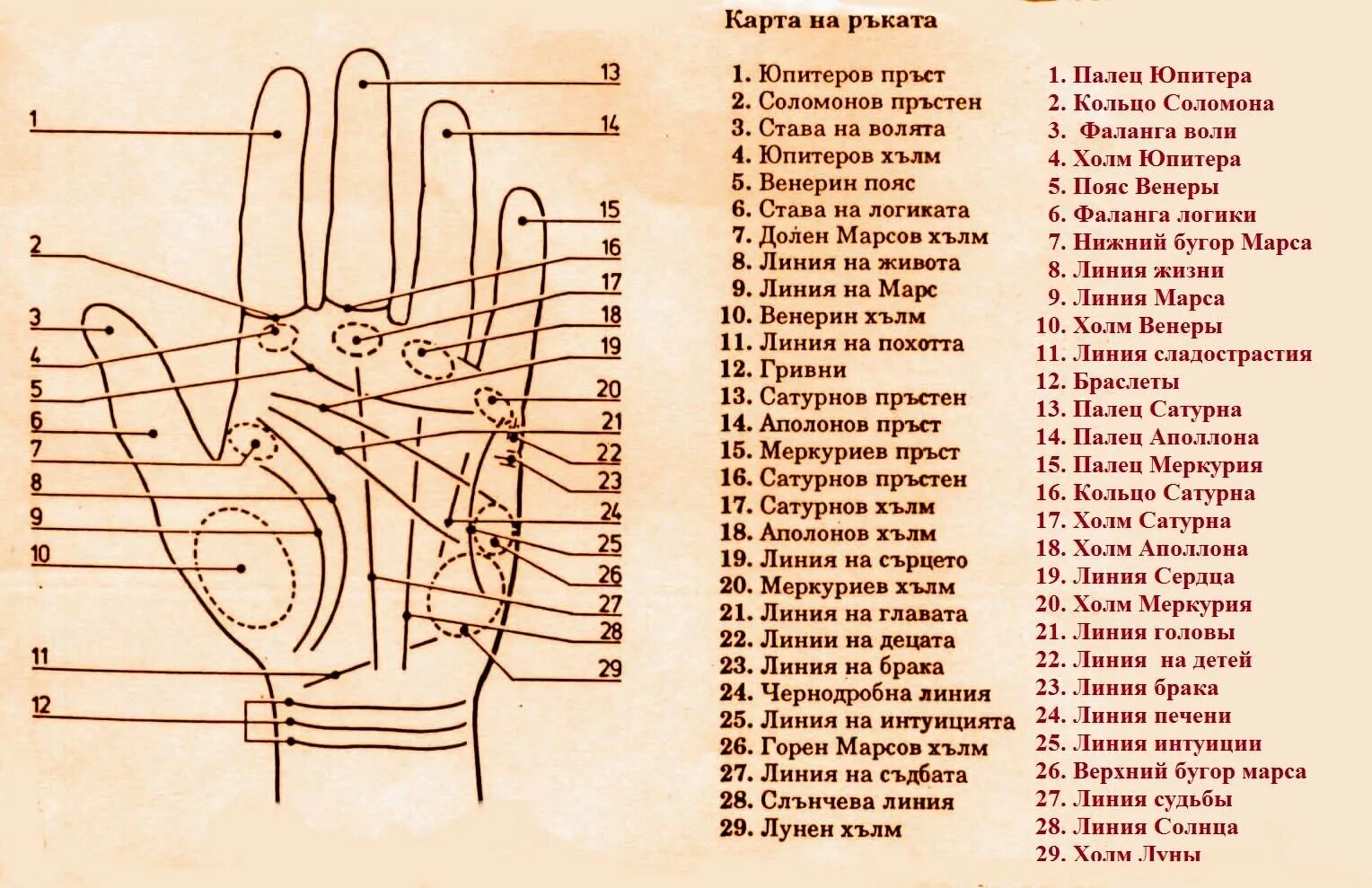 Обучение хиромантии