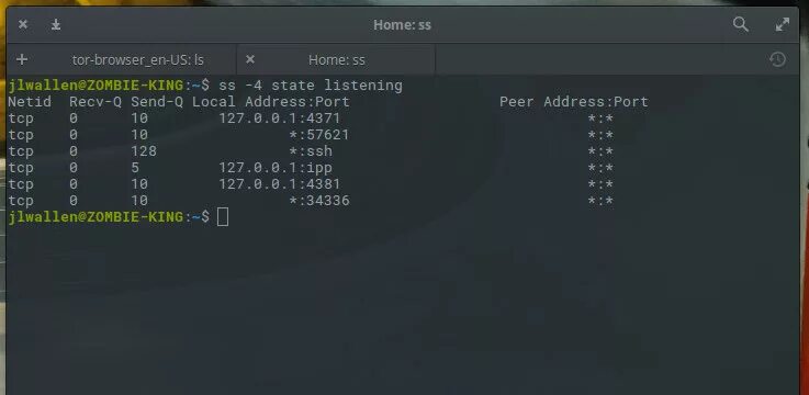 Команда Telnet IP порт 443. Команда Telnet IP порт. Telnet Linux.
