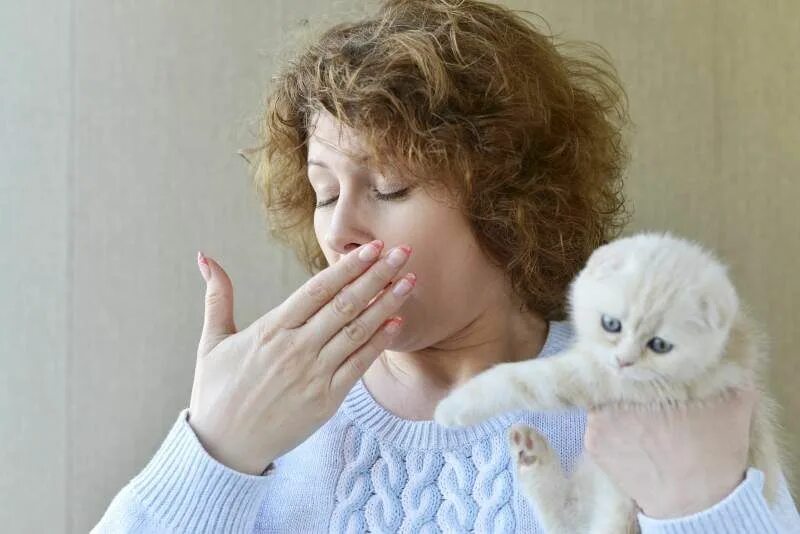 Может ли быть аллергия на шерсть. Домашние животные аллергия. домашние животные для аллергиков на шерсть.