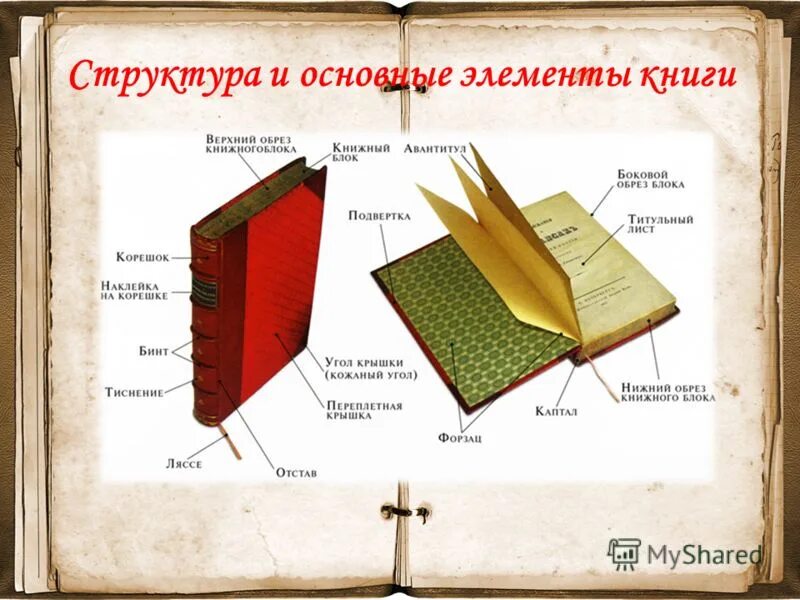 Частью книги является ответ. Структура и элементы книги. Из чего состоит структура книги. Книга структура книги. Части обложки книги.