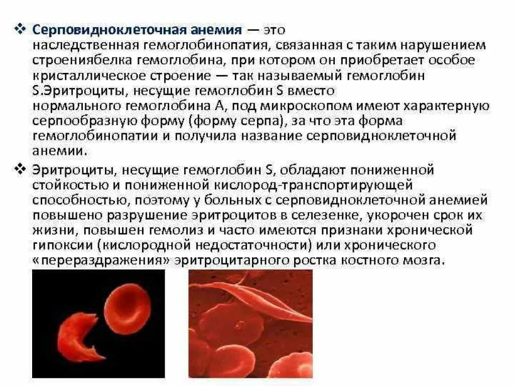 Изучение эритроцитов с серповидно клеточной анемией метод. Гемоглобинопатия серповидноклеточная анемия. серповидноклеточная анемия плейотропия. тип гемолиза при серповидноклеточной анемии. эритроциты при серповидноклеточной анемии.