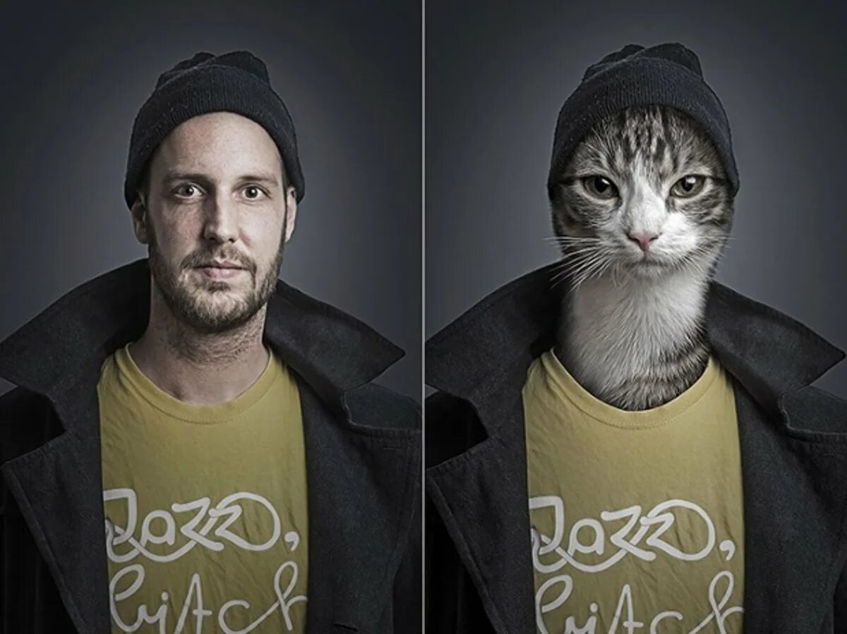 Как выглядит человек кот. Себастьян маньяни. коты и люди. коты с человеческим телом.