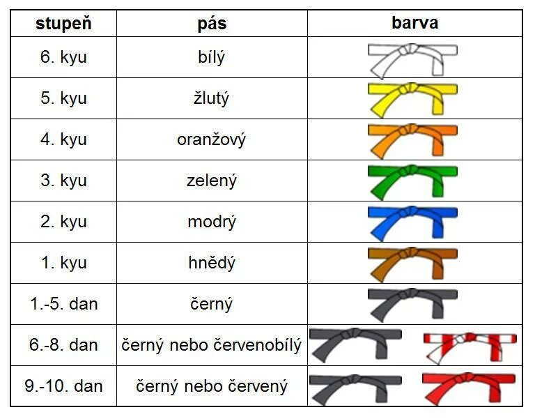 Дзюдо таблицы. Поясная система в дзюдо. Порядок поясов в дзюдо в России. Цвета поясов в дзюдо. Цвета поясов.
