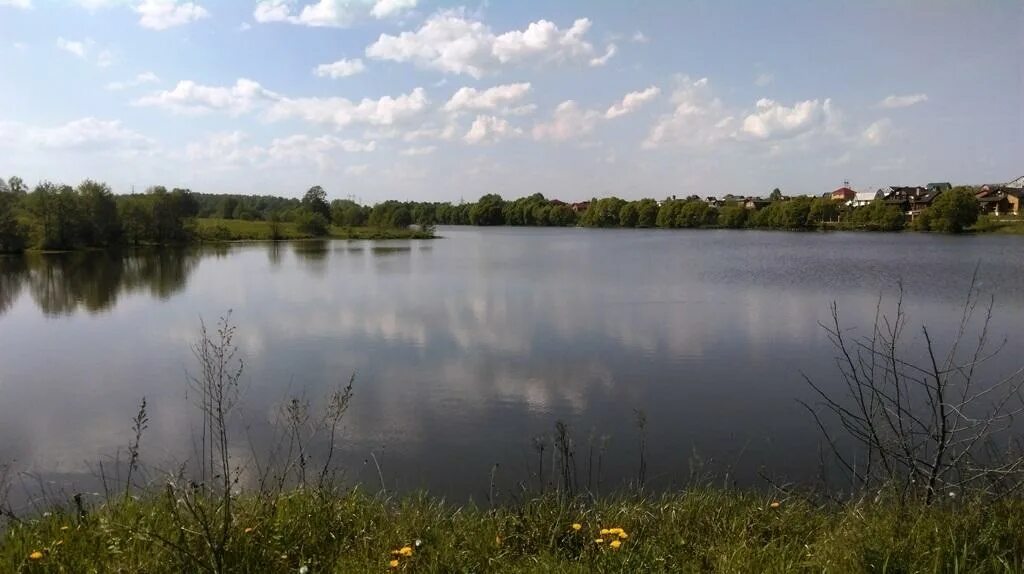 Шарапово Чеховский район. Шарапово (село, Чеховский район). Деревня Шарапово Сергиево-Посадский район. Шарапово пруд.