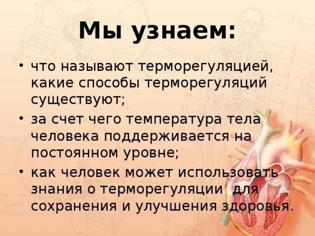 Как называют человека который поддерживает. За счет чего поддерживается температура тела человека. что поддерживает температуру тела в организме человека. терморегуляция организма закаливание 8 класс. конспект по теме терморегуляция организма закаливание.