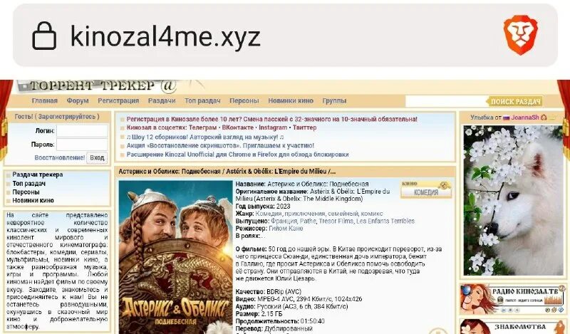 Кинозал тв программа. Зайти на сайт кинозал тв. Кинозал тв программа. Кинозал тв игры. Kinozal tv namoyish.