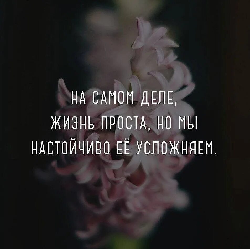 Задание дело всей жизни. Жизнь проста но мы ее усложняем. Мы сами усложняем свою жизнь цитаты.