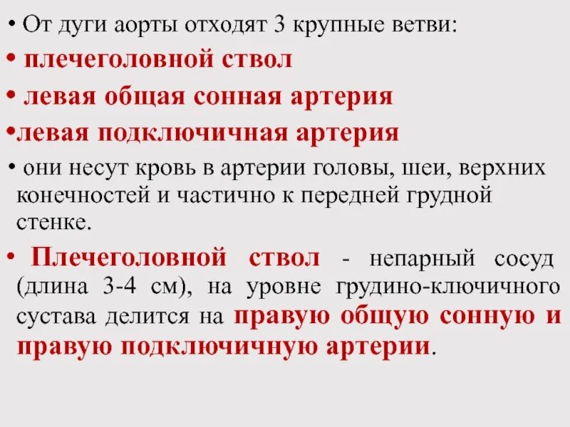 От дуги аорты отходят. Артерии отходящие от плечеголовного ствола. Непосредственно от дуги аорты отходят. Дуга аорты что отходит.