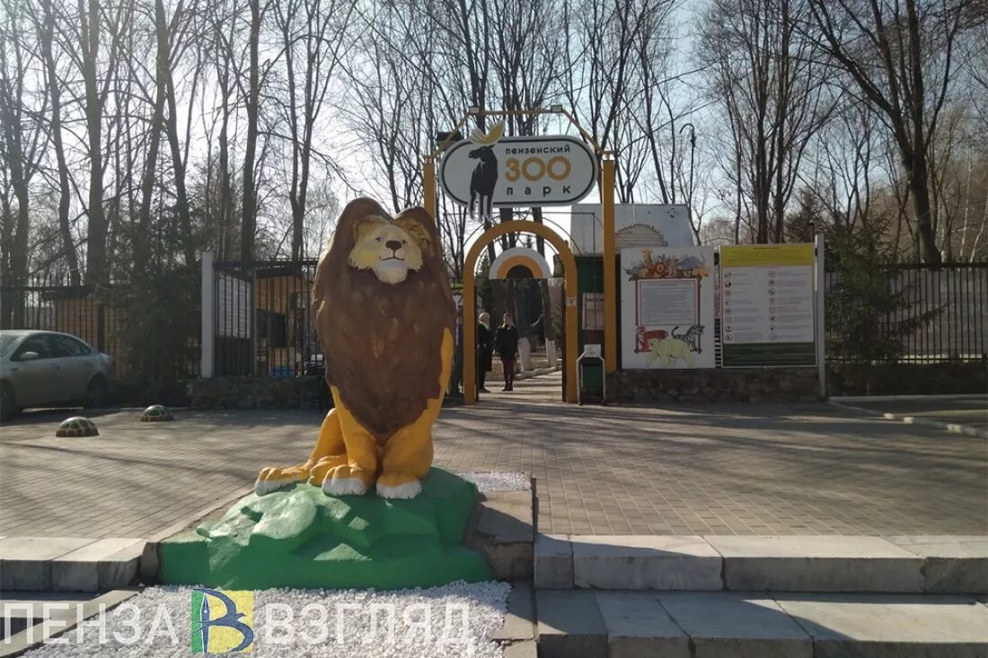 Пензенский зоопарк сайт. Пензенский зоопарк Пенза. Пенза взгляд зоопарке. Зоопарк в Щелково. Пензенский зоопарк фото.