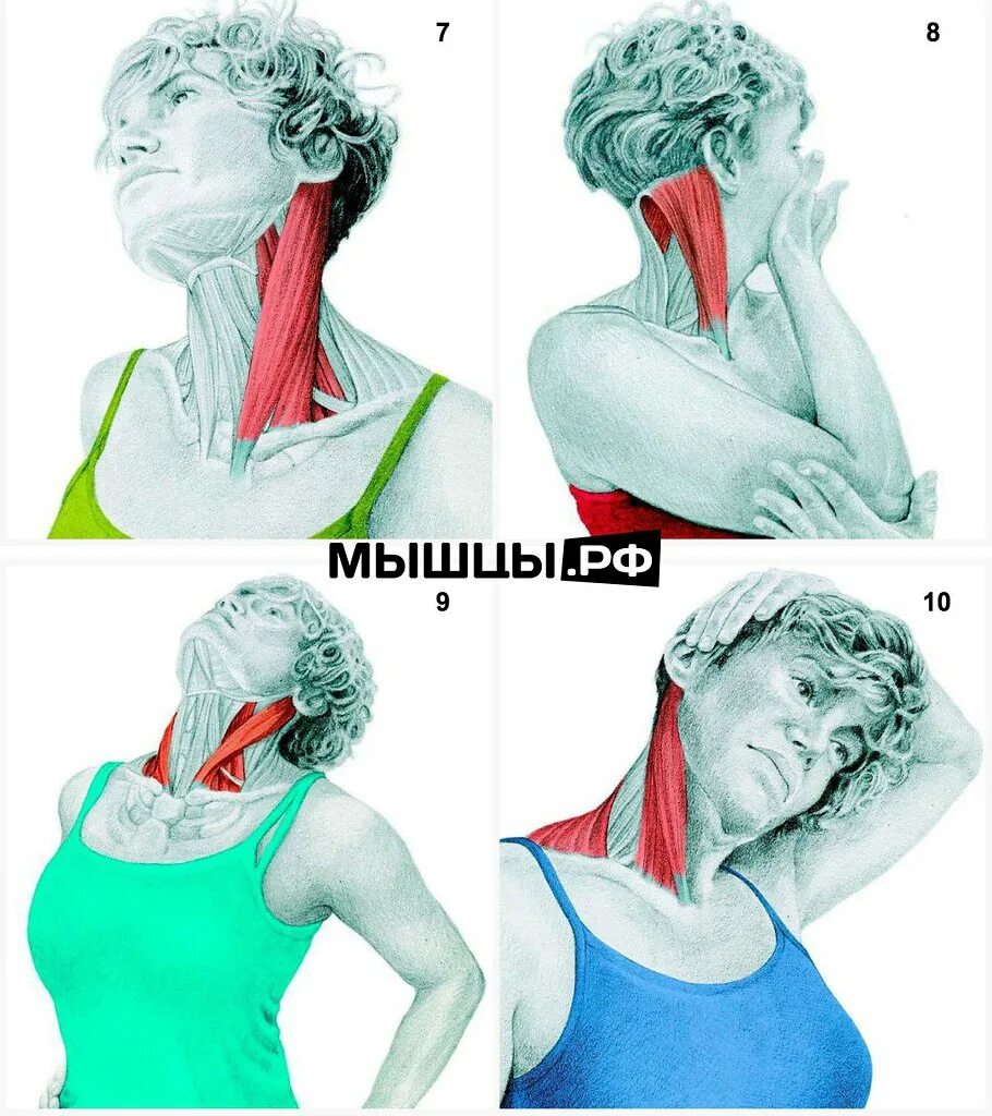 Тянет шею
