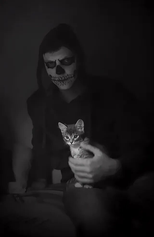 Томат куманек f1 евро семена. Семена толя. Толя семенов. Семена толя. Семена пакетированные.