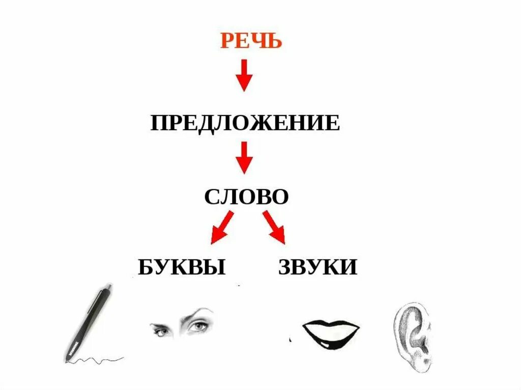 Звук слог слово предложение. Речь предложение. Речь схема 1 класс. Звук буква слог слово предложение текст.