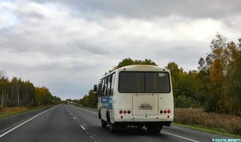 Автобус 242 спб