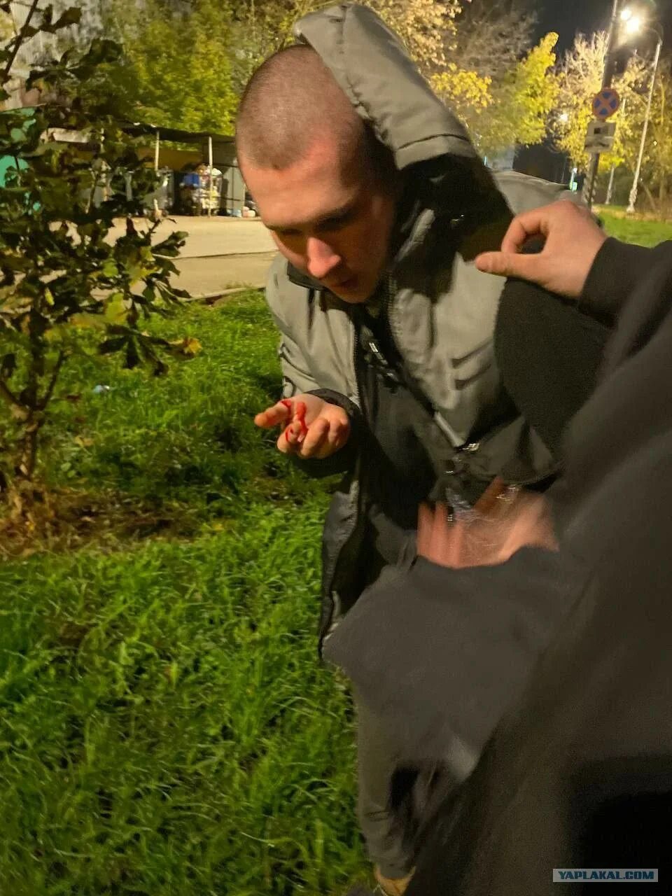 Свалка советских рублей. Лес и деньги. Российские деньги в лесу. Деньги в лесу видео. Деньги в лесу видео.